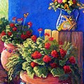 Geraniums and Talavera