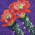 Cholla Flowers