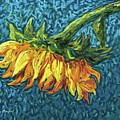 Lazy Sunflower
