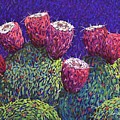 Prickly Pear Fruit
